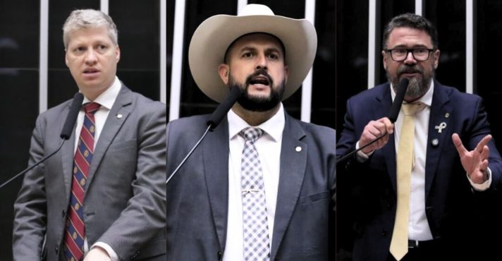 Van Hattem, Zé Trovão e Marcos Pollon