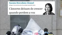 colunista da folha compara charlie kirk a cancer