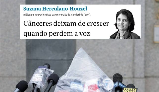 colunista da folha compara charlie kirk a cancer