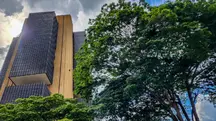 selic taxa de juros banco central boletim focus