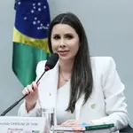 caroline de toni-universidades-violência