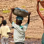 Trabalho infantil cresce em 2024 e interrompe queda histórica no Brasil, aponta IBGE