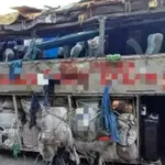 Acidente com ônibus de turismo deixa 17 mortos no Agreste de Pernambuco | Foto: Divulgação/PRF