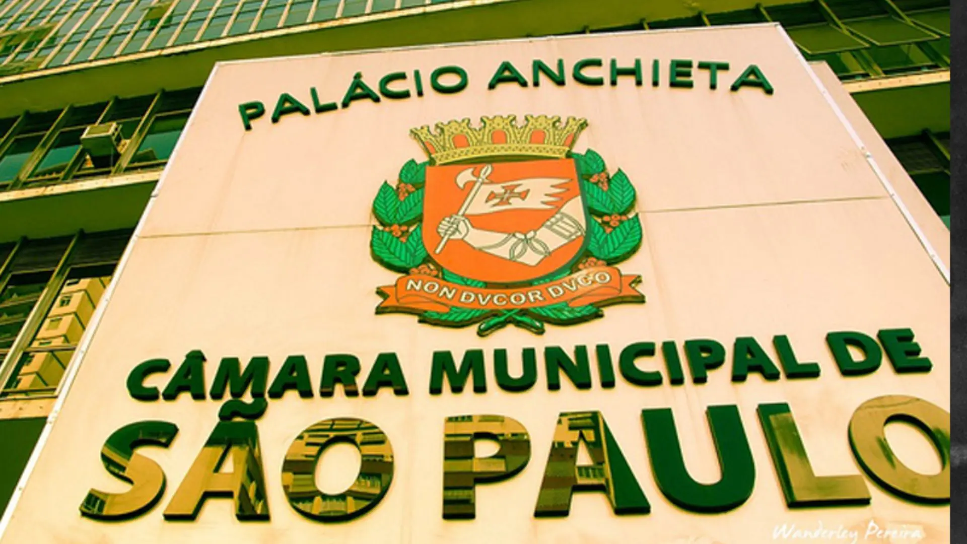 atletas trans câmara municipal são paulo sp projeto ccj mulheres