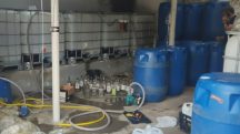 fábrica de bebida falsificada metanol