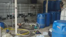 fábrica de bebida falsificada metanol