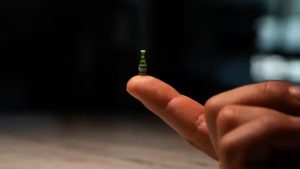 Do tamanho de um grão de arroz: a menor cerveja já feita no mundo | Foto: Reprodução/Carlsberg