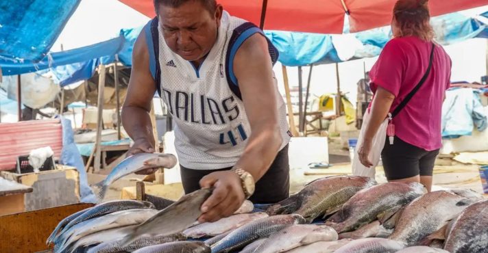 tilápia peixe governo lula proibição agro