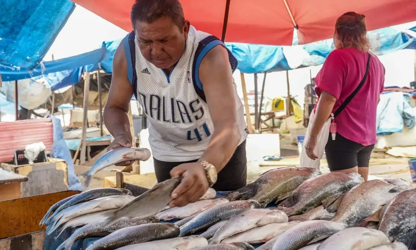 tilápia peixe governo lula proibição agro