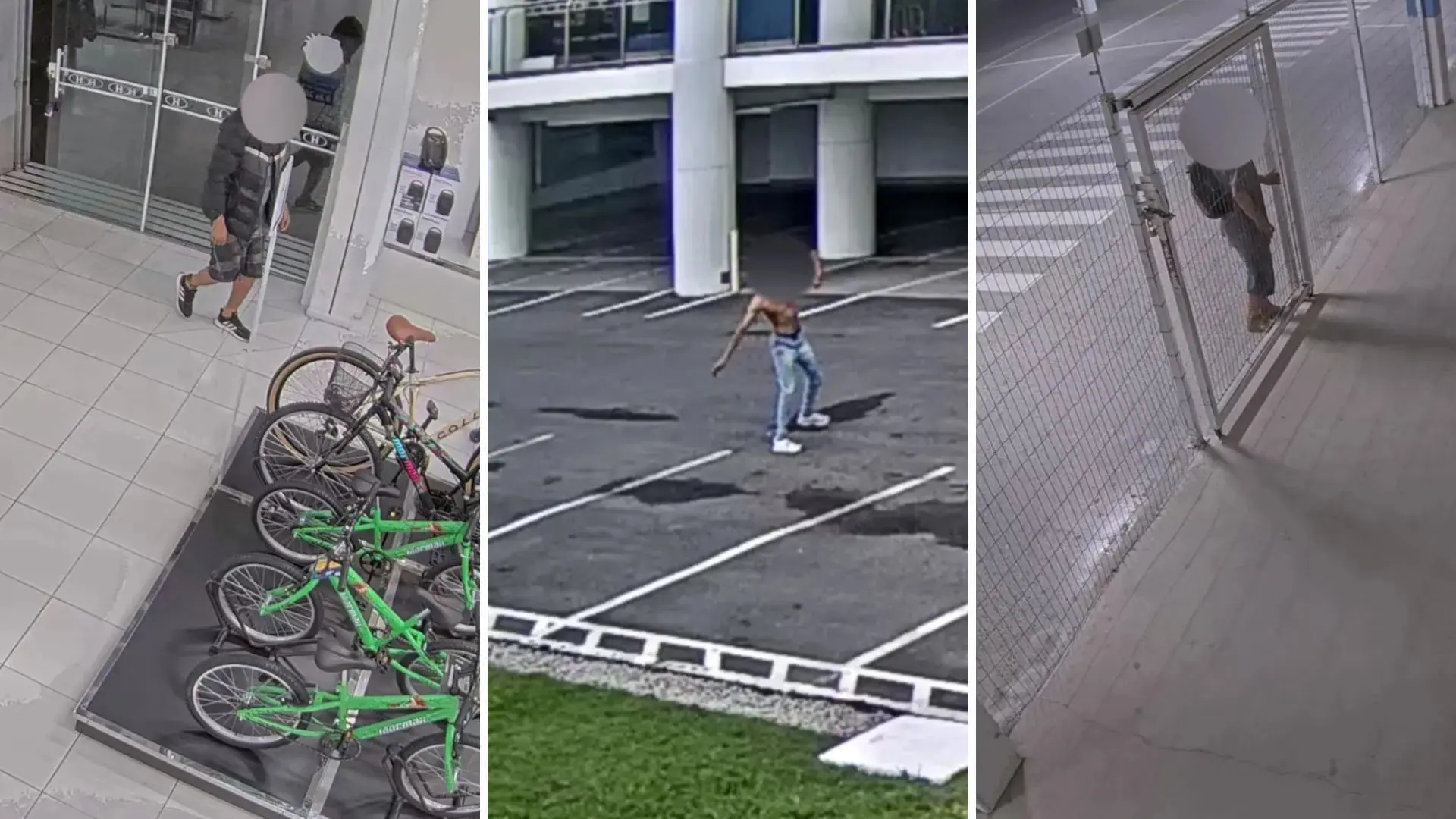 Luciano Hang publicou vídeo com crimes recentes ocorridos nas lojas da Havan, mas com os rostos dos criminosos borrados | Foto: Reprodução/Assessoria Havan