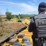 A Polícia Militar Rodoviária realizava a Operação Consciência Negra 2025, junto da Polícia Federal, quando abordaram um caminhão com placas do Mato Grosso do Sul | Foto: Divulgação/SSP