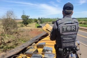 A Polícia Militar Rodoviária realizava a Operação Consciência Negra 2025, junto da Polícia Federal, quando abordaram um caminhão com placas do Mato Grosso do Sul | Foto: Divulgação/SSP