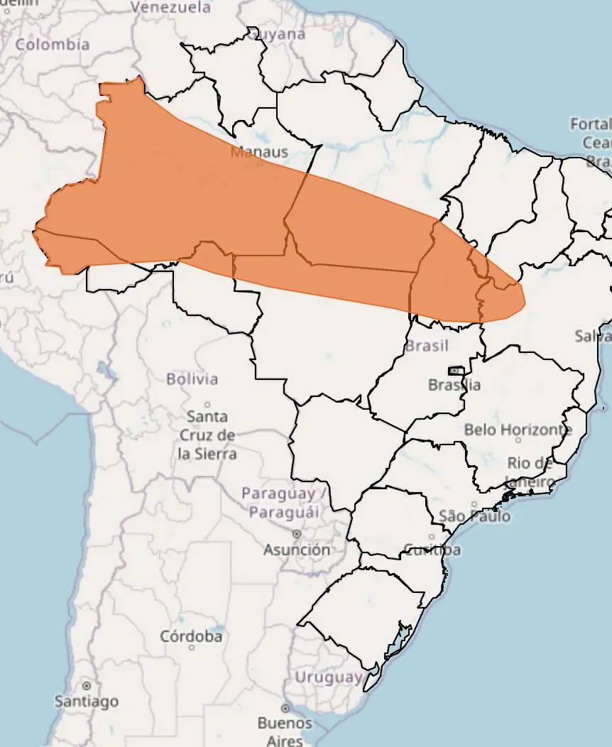 Alerta laranja do Inmet nesta sexta-feira, 28