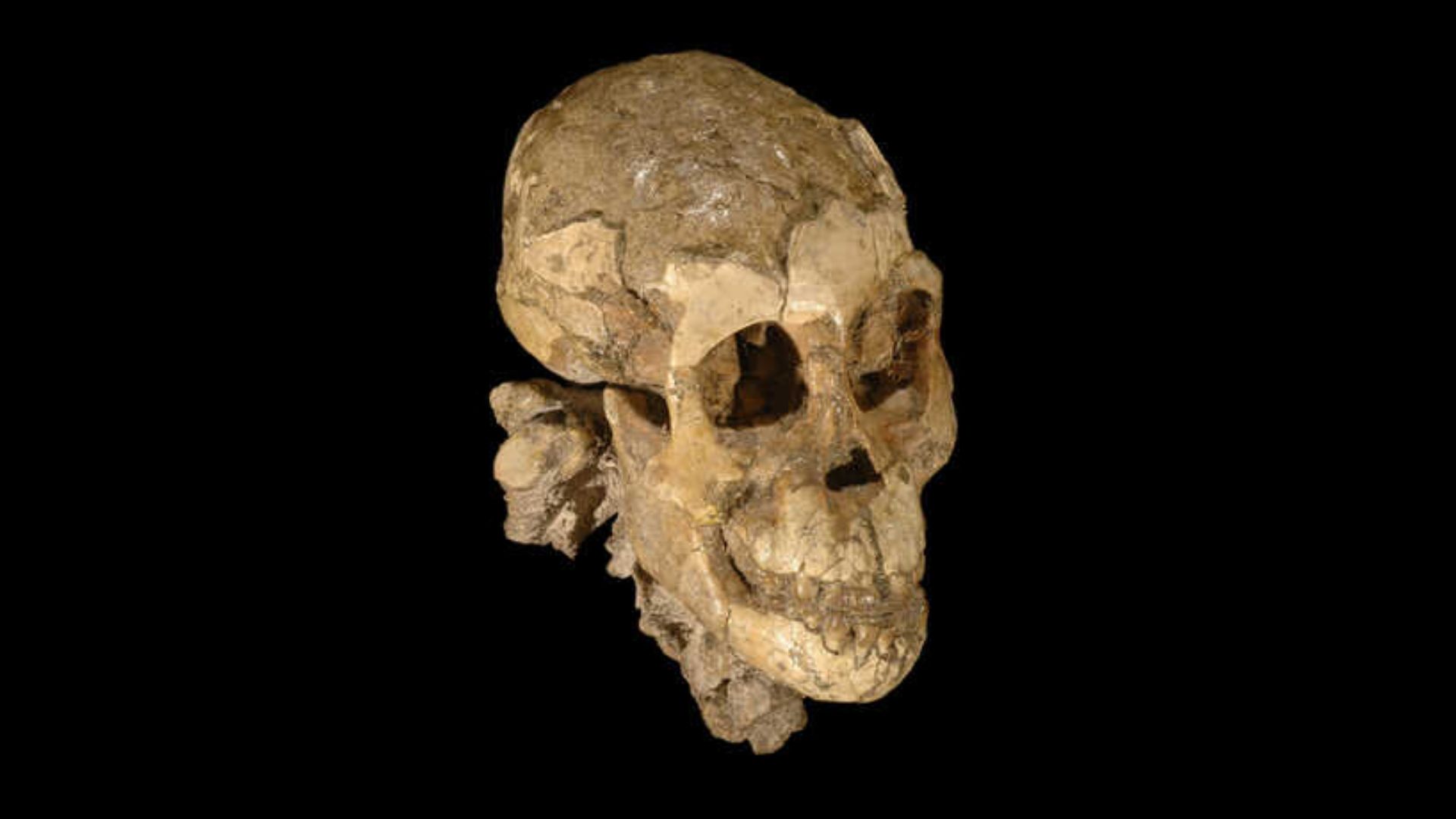 arqueologia
