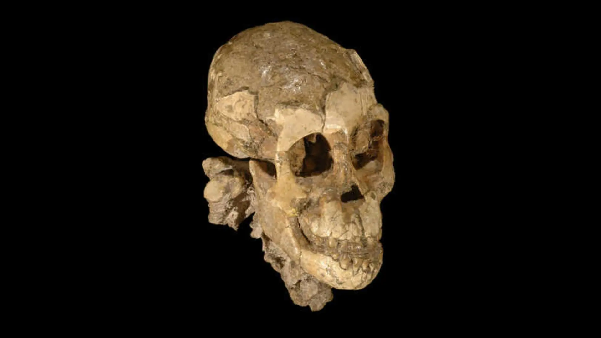 arqueologia