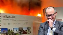 Incêndio na COP30 vira meme nas redes sociais