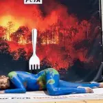 A ativista brasileira Luisa Mell, durante a COP30 | Foto: Reprodução/ Instagram