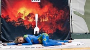 A ativista brasileira Luisa Mell, durante a COP30 | Foto: Reprodução/ Instagram