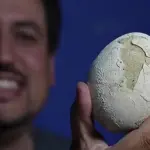 Ovo de dinossauro