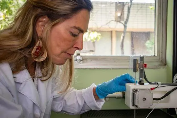 A polilaminina, produzida a partir da placenta humana, recria a estrutura natural da laminina e estimula a regeneração de neurônios e axônios | Foto: Artur Moês/CCS/UFRJ