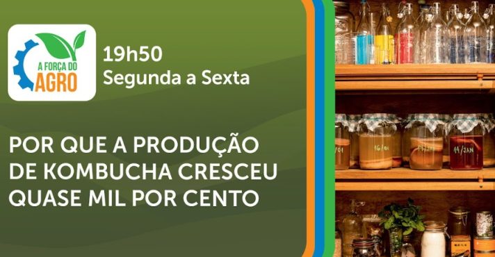 kombucha - a força do agro - 18112025