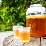 kombucha - a força do agro 2