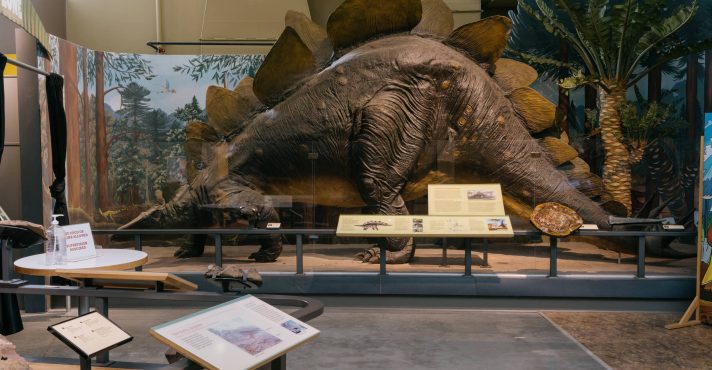 Museu da Terra em Ithaca, Nova York | Foto: Reprodução/The New York Times