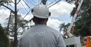 Aneel enel