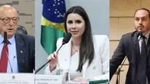 Santa Catarina Carol De Toni