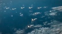 Aeronaves de guerra dos EUA sobrevoam oceano nas proximidades da Venezuela | Foto: Reprodução/X