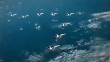 Aeronaves de guerra dos EUA sobrevoam oceano nas proximidades da Venezuela | Foto: Reprodução/X