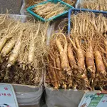 A Força do Agro é transmitido de segunda a sexta, das 19h50 às 20h30 | Foto: Divulgação/Oeste