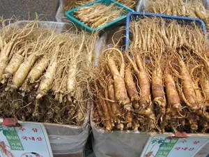 A Força do Agro é transmitido de segunda a sexta, das 19h50 às 20h30 | Foto: Divulgação/Oeste