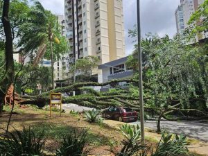 ventania São Paulo