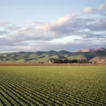 O presidente da Associação do Agronegócio do Extremo-Sul da Bahia (Agronex), Mateus Bonfim, destacou as consequências de um possível fim do marco temporal | Foto: Wirestock/Freepik