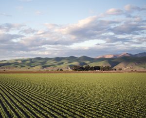O presidente da Associação do Agronegócio do Extremo-Sul da Bahia (Agronex), Mateus Bonfim, destacou as consequências de um possível fim do marco temporal | Foto: Wirestock/Freepik