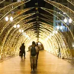 Iluminação de Natal em equipamento público de São Paulo | Foto: Divulgação/PMSP