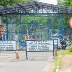 Zambelli Colmeia
