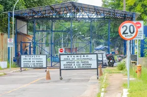 Zambelli Colmeia