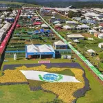 cascavel e agro
