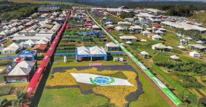 cascavel e agro