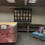Droga apreendida no Aeroporto de Confins | Foto: Divulgação/PF