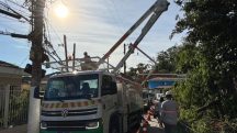 Além de afetar semáforos, vendaval derrubou árvores e deixou milhares de paulistanos sem luz | Foto: Enel/Divulgação