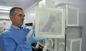 Luciano Moreira foi eleito um dos principais cientistas de 2025 por pesquisa sobre a dengue | Peter Ilicciev/WMP Brasil/Fiocruz