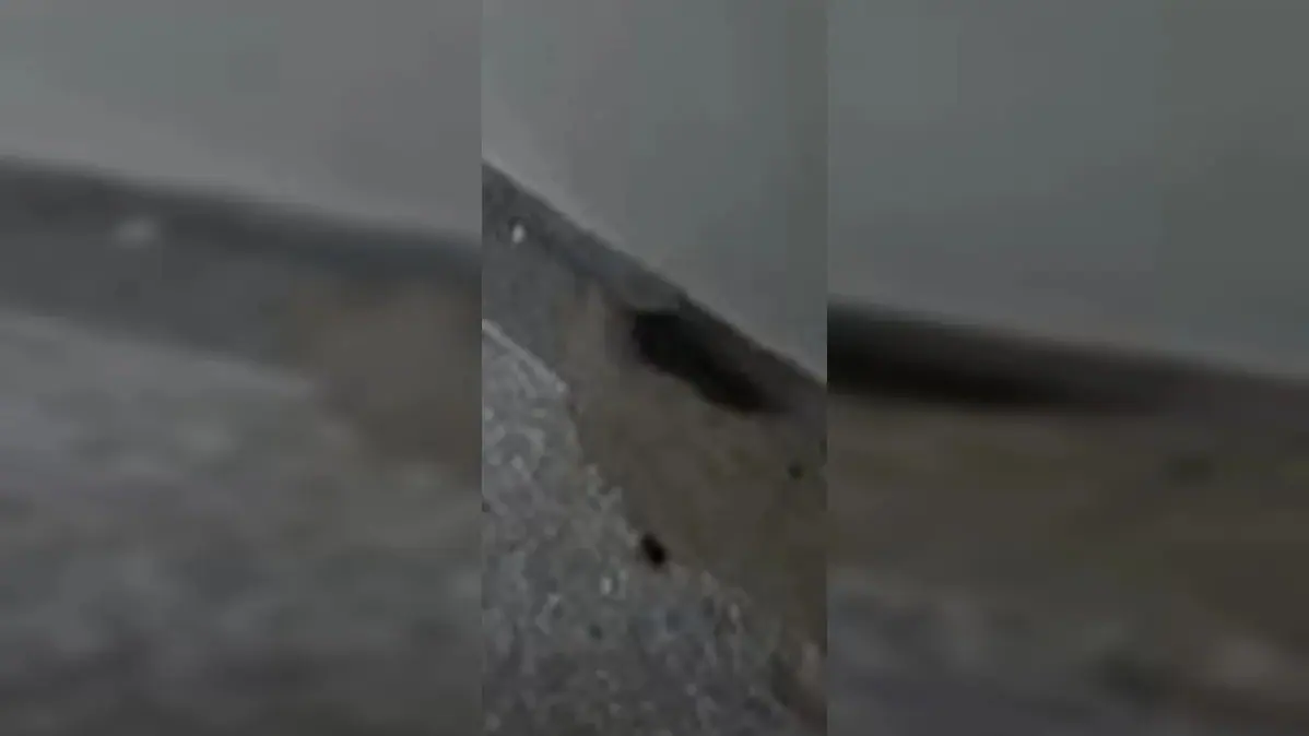 Ratos são vistos em centro cirúrgico de Brasília | Foto: Metrópoles/Reprodução