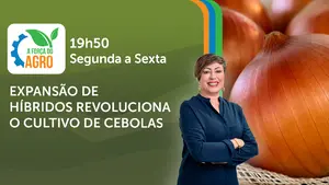A Força do Agro é transmitido de segunda a sexta, das 19h50 às 20h30 | Foto: Divulgação/Oeste