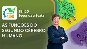 A Força do Agro é transmitido de segunda a sexta, das 19h50 às 20h30 | Foto: Divulgação/Oeste