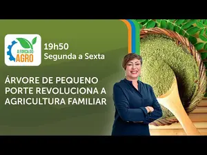 A Força do Agro é transmitido de segunda a sexta, das 19h50 às 20h30 | Foto: Divulgação/Oeste
