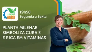 A Força do Agro é transmitido de segunda a sexta, das 19h50 às 20h30 | Foto: Divulgação/Oeste