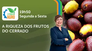 A Força do Agro é transmitido de segunda a sexta, das 19h50 às 20h30 | Foto: Divulgação/Oeste